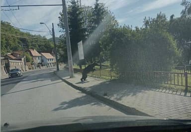  Urs observat din nou circumulând pe strada Angarul de Jos