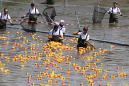  Peste 4.000 de rățuște colorate în cursa de pe Cibin - Impresii și imagini!