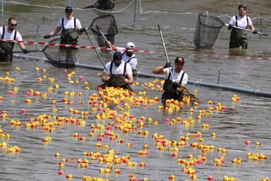  Peste 4.000 de rățuște colorate în cursa de pe Cibin - Impresii și imagini!